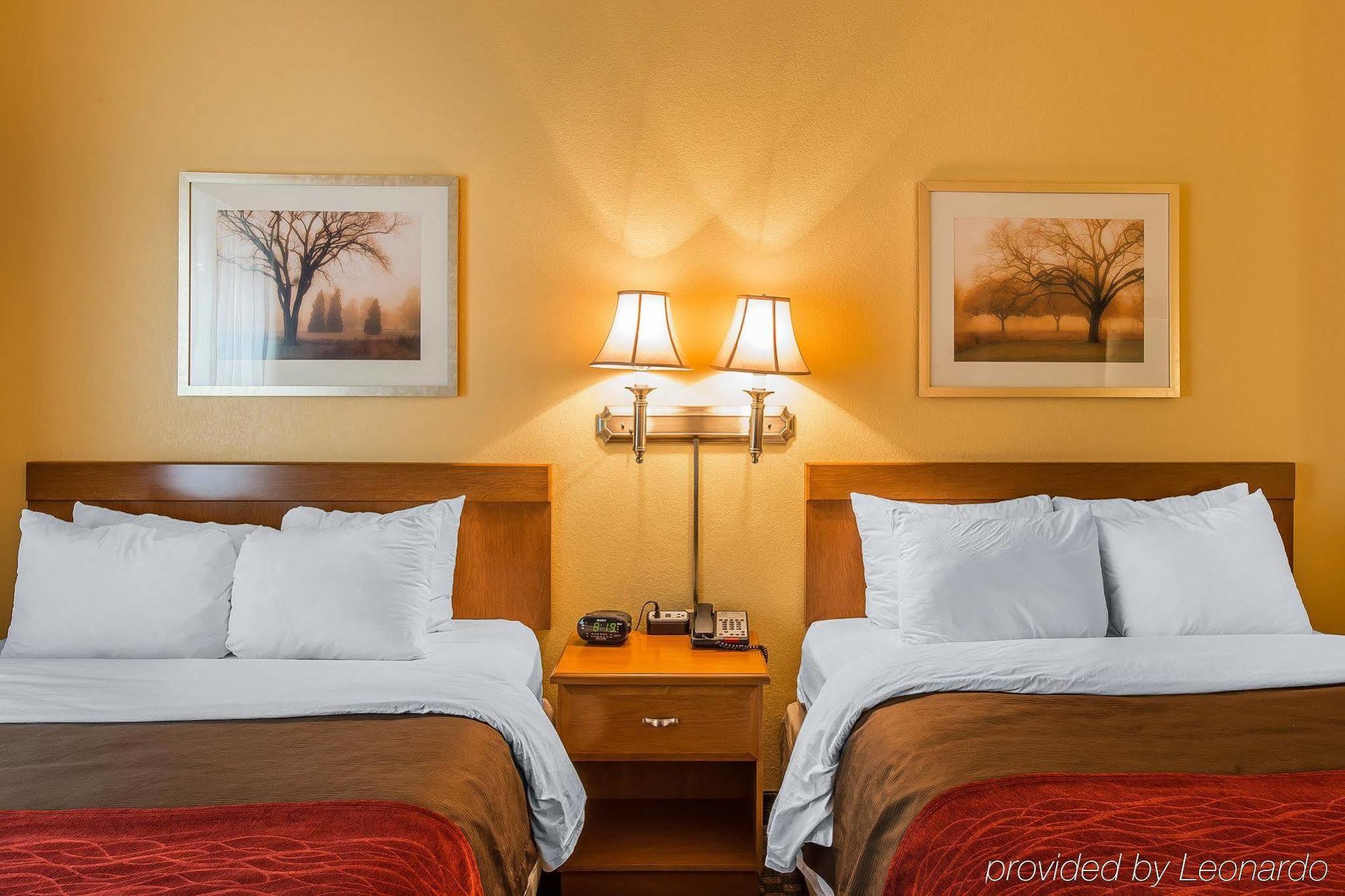 Comfort & Hotel Rifle